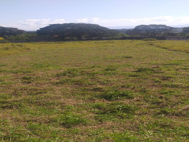 #730 - Terreno para Venda em Taubaté - SP