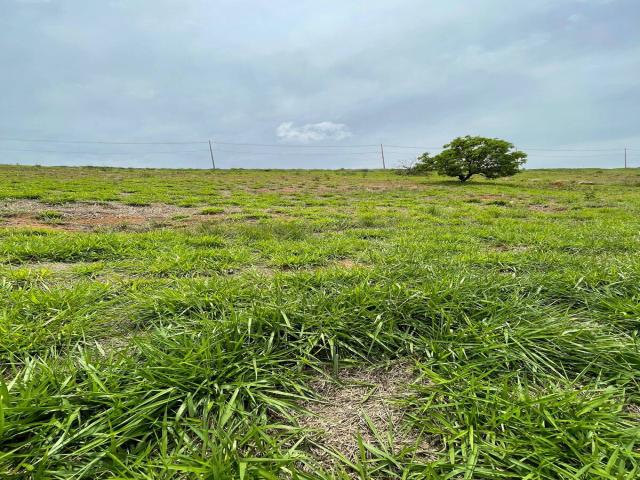 #1091 - Terreno em condomínio para Venda em Taubaté - SP